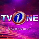 TV One channel logo - m4mdigital client